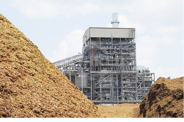 Combustion de Biomasse pour la Production de Chaleur et D'électricité