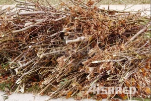 Broyeur à deux arbres pour le traitement des déchets verts et de la biomasse